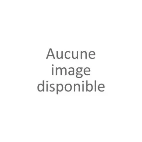 Chausson blanc hibou femme (36-41)