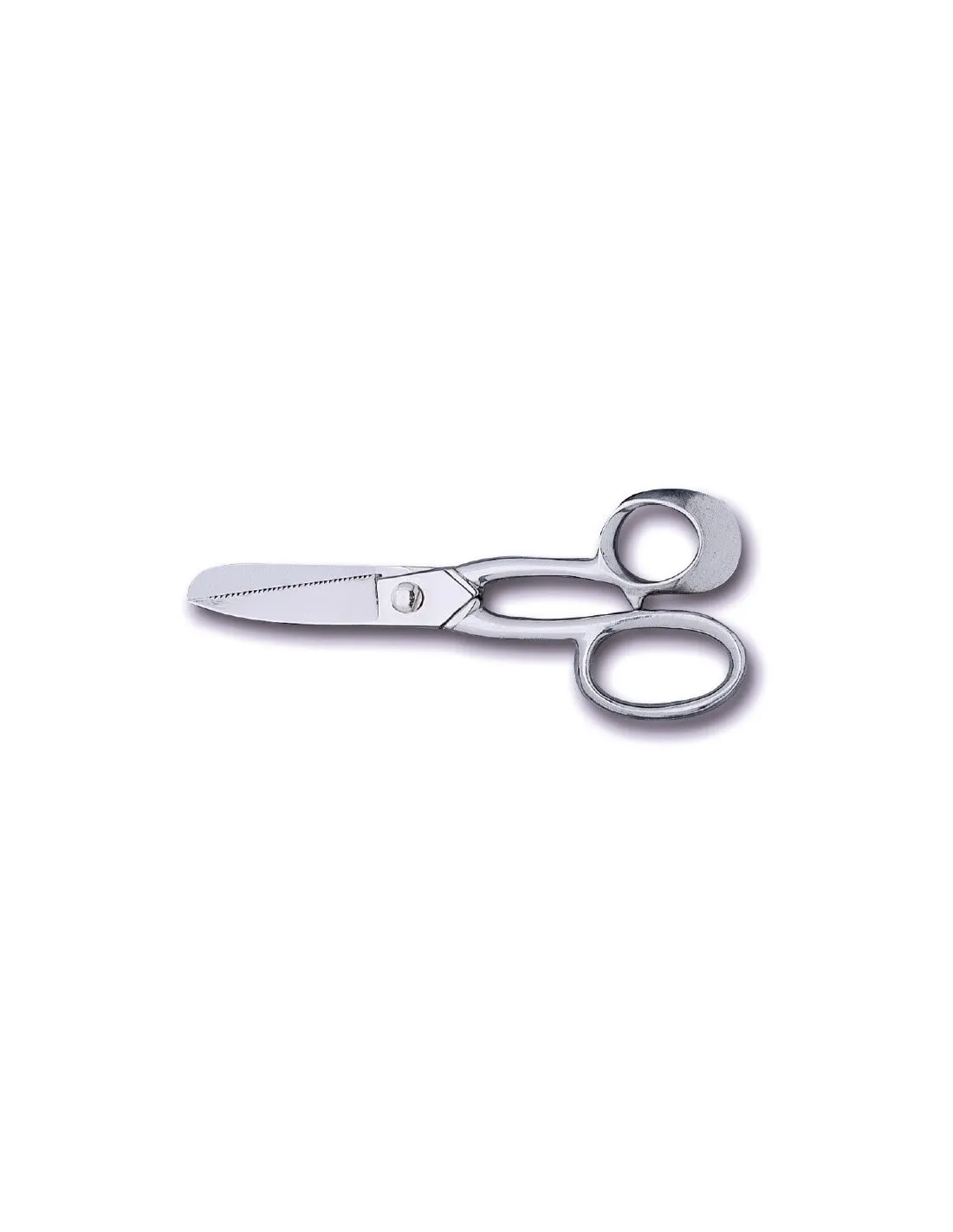 Ciseaux à poisson en inox 22cm Bargoin
