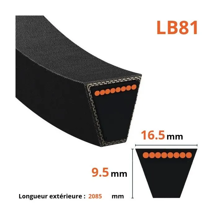 Courroie lisse trapézoïdale LB81