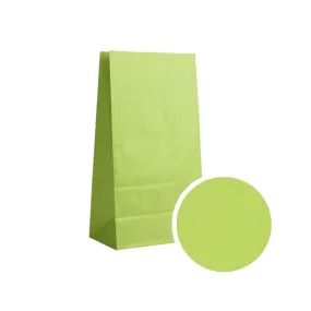 Paper bag vert pomme M sans impression x25