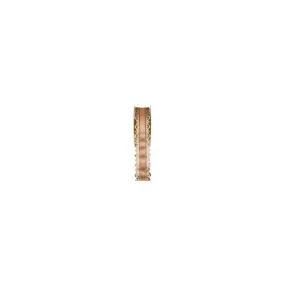 Ruban Charlotte Saumon 50mm (23m)