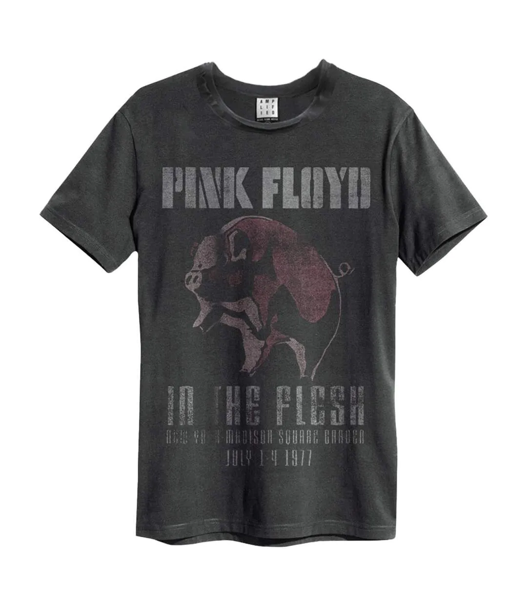 T-shirt in the flesh adulte anthracite Amplified